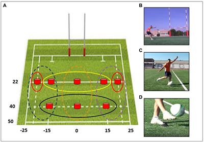 Kicking in or kicking out? The role of the individual motor expertise in predicting the outcome of rugby actions